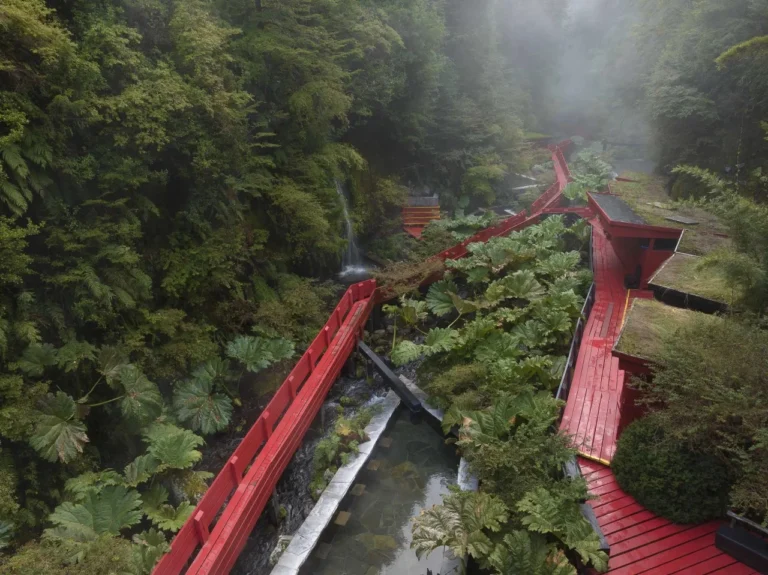 Descripción grafica de termas geométricas de Villarrica rodeadas de pasarelas entre vegetación agua y arbustos.